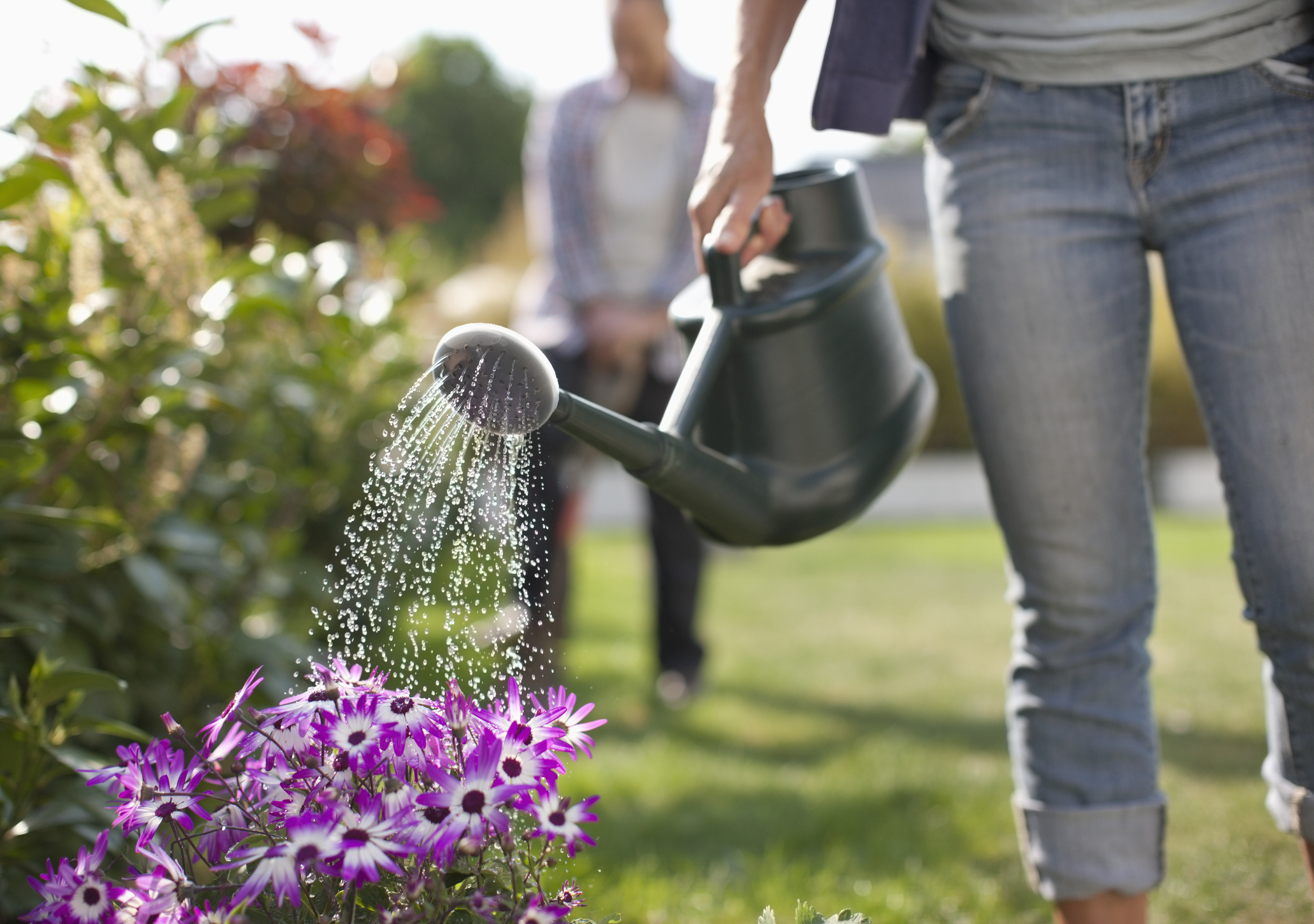 How to get your garden ready for summer