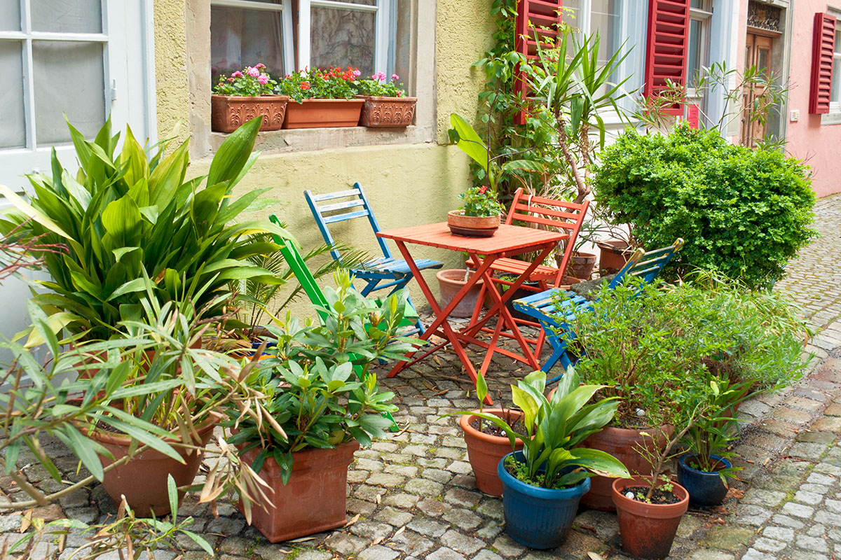 How to Make the Most of your Courtyard Garden