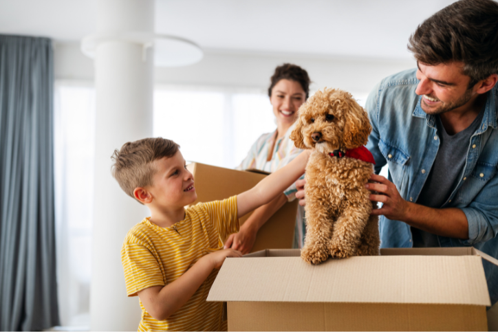 Top tips for Moving House with a pet and utilising Self Storage.